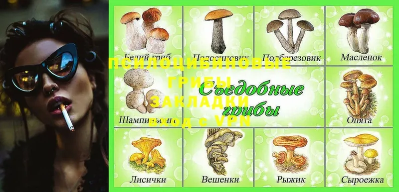 купить наркотик  Любим  Псилоцибиновые грибы MAGIC MUSHROOMS 